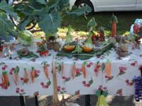 Eg�szs�gnap 2014.