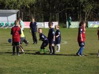 Eg�szs�gnap 2014.