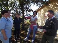 Eg�szs�gnap 2014.