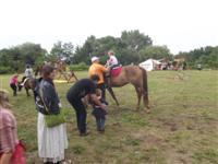Falunap 2012.