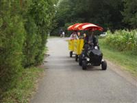 Falunap 2012.