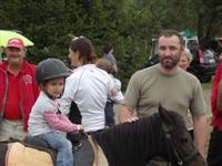 Falunap 2012.