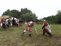 Falunap 2012.