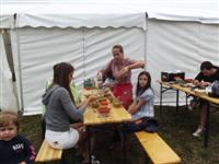Falunap 2012.