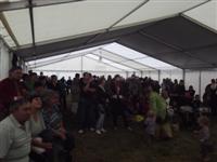 Falunap 2012.