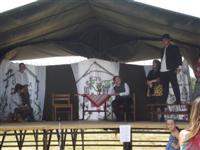 Falunap 2013.
