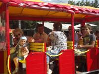Falunap 2013.