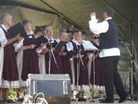 Falunap 2013.