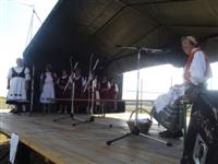 Falunap 2013.