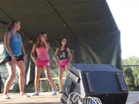 Falunap 2013.