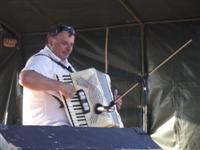 Falunap 2013.