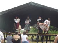 Falunap 2015.