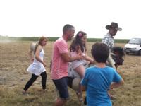 Falunap 2015.