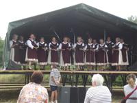 Falunap 2015.