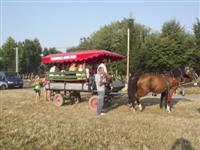 beFalunap 2015.mutat�