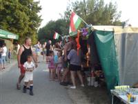 Falunap 2015.
