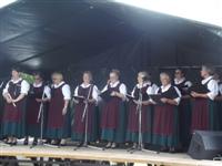 Falunap 2017.