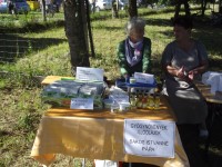 Falunap 2018.