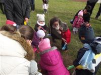 Fa�ltet�s a 2015. �vben sz�letettek eml�k�re