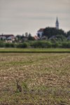 Keresztes L�szl� f�nyk�pe