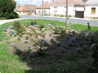 Parkjaink 2012.