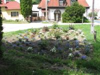 Parkjaink 2012.