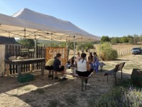 Pet�fi Kultur�lis Program 2026