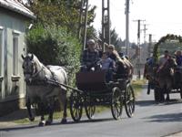 Sz�reti felvonul�s 2016.