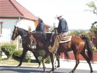 Sz�reti felvonul�s 2016.