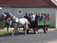 Sz�reti felvonul�s 2018.