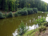 Az ugodi t�