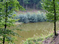 Az ugodi t�
