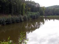 Az ugodi t�