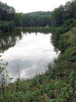 Az ugodi t�