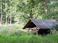 Az ugodi t� k�rny�ke